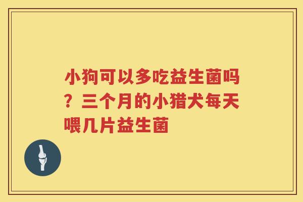 小狗可以多吃益生菌吗？三个月的小猎犬每天喂几片益生菌