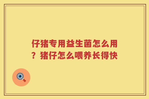 仔猪专用益生菌怎么用？猪仔怎么喂养长得快
