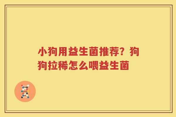 小狗用益生菌推荐？狗狗拉稀怎么喂益生菌