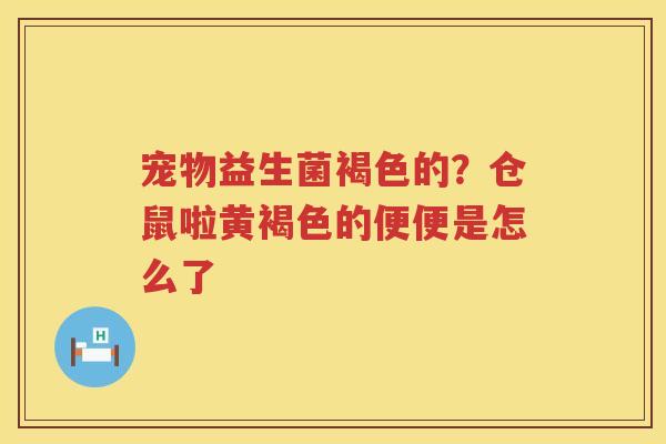 宠物益生菌褐色的？仓鼠啦黄褐色的便便是怎么了