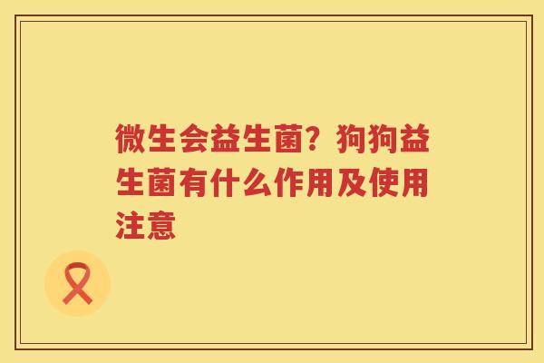 微生会益生菌？狗狗益生菌有什么作用及使用注意