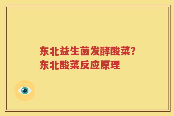 东北益生菌发酵酸菜？东北酸菜反应原理