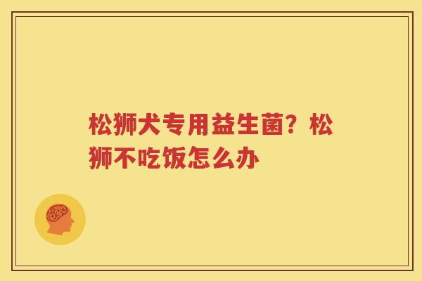 松狮犬专用益生菌？松狮不吃饭怎么办