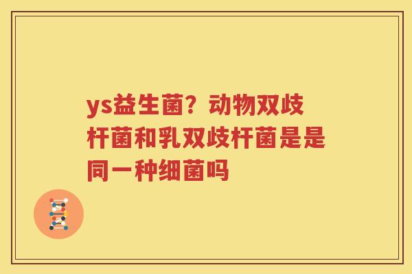 ys益生菌？动物双歧杆菌和乳双歧杆菌是是同一种细菌吗