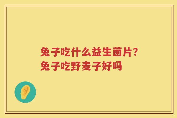 兔子吃什么益生菌片？兔子吃野麦子好吗