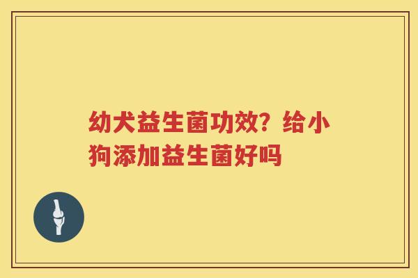 幼犬益生菌功效？给小狗添加益生菌好吗