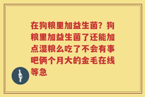 在狗粮里加益生菌？狗粮里加益生菌了还能加点湿粮么吃了不会有事吧俩个月大的金毛在线等急