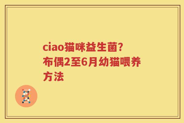 ciao猫咪益生菌？布偶2至6月幼猫喂养方法