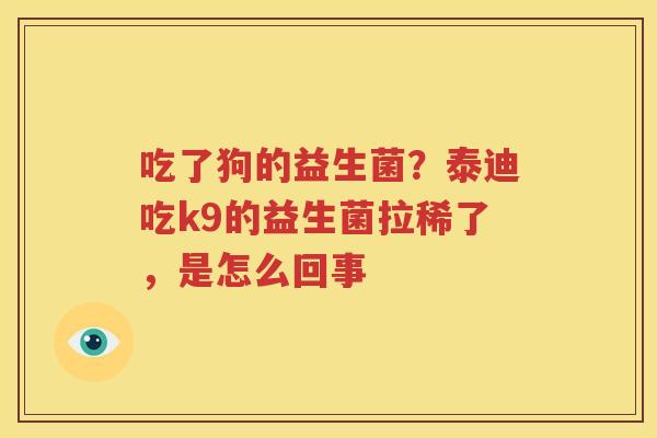 吃了狗的益生菌？泰迪吃k9的益生菌拉稀了，是怎么回事