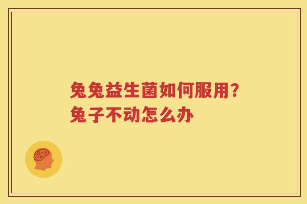 兔兔益生菌如何服用？兔子不动怎么办