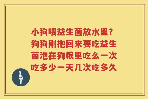 小狗喂益生菌放水里？狗狗刚抱回来要吃益生菌泡在狗粮里吃么一次吃多少一天几次吃多久