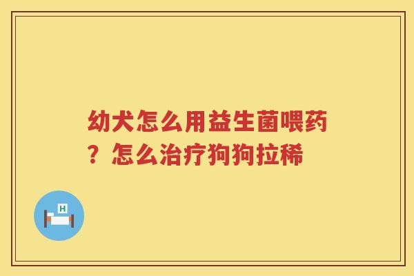 幼犬怎么用益生菌喂药？怎么治疗狗狗拉稀