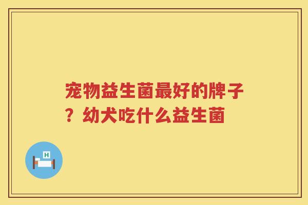 宠物益生菌最好的牌子？幼犬吃什么益生菌
