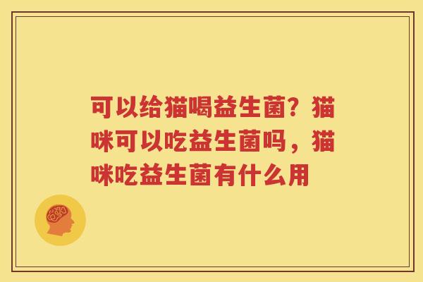 可以给猫喝益生菌？猫咪可以吃益生菌吗，猫咪吃益生菌有什么用