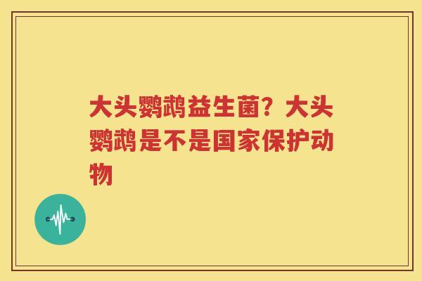 大头鹦鹉益生菌？大头鹦鹉是不是国家保护动物