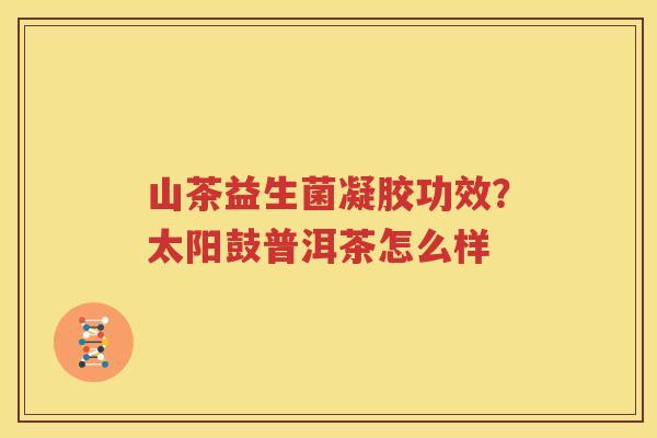 山茶益生菌凝胶功效？太阳鼓普洱茶怎么样