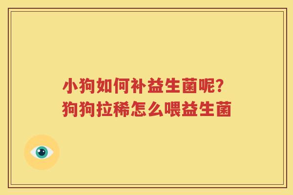 小狗如何补益生菌呢？狗狗拉稀怎么喂益生菌