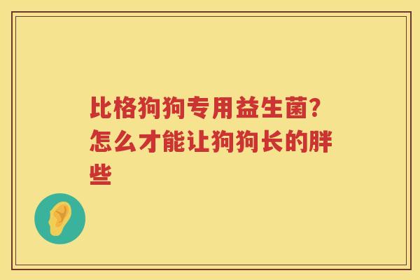 比格狗狗专用益生菌？怎么才能让狗狗长的胖些
