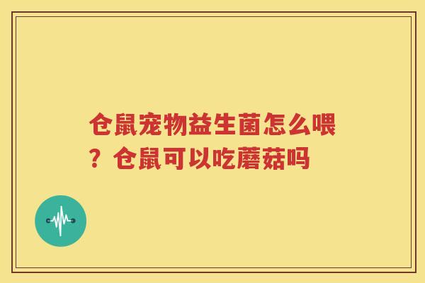 仓鼠宠物益生菌怎么喂？仓鼠可以吃蘑菇吗