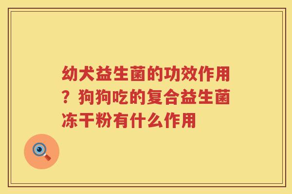 幼犬益生菌的功效作用？狗狗吃的复合益生菌冻干粉有什么作用