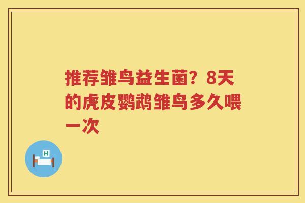 推荐雏鸟益生菌？8天的虎皮鹦鹉雏鸟多久喂一次
