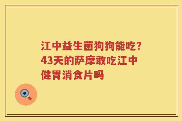 江中益生菌狗狗能吃？43天的萨摩敢吃江中健胃消食片吗