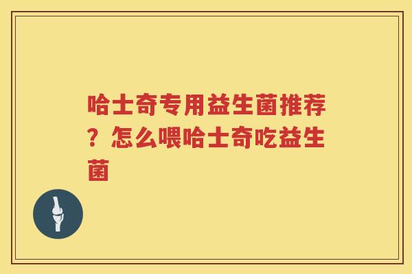 哈士奇专用益生菌推荐？怎么喂哈士奇吃益生菌
