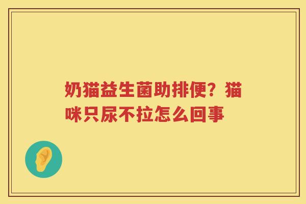 奶猫益生菌助排便？猫咪只尿不拉怎么回事