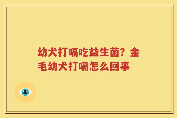 幼犬打嗝吃益生菌？金毛幼犬打嗝怎么回事