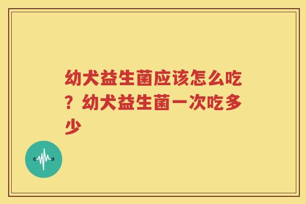幼犬益生菌应该怎么吃？幼犬益生菌一次吃多少