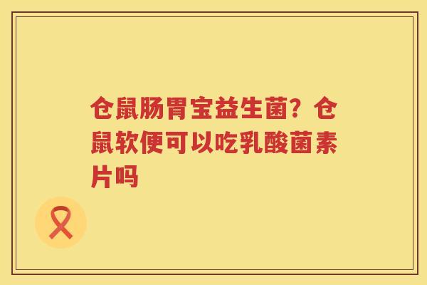 仓鼠肠胃宝益生菌？仓鼠软便可以吃乳酸菌素片吗