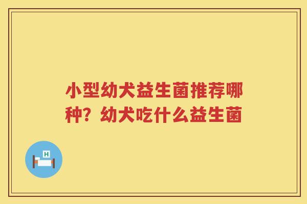 小型幼犬益生菌推荐哪种？幼犬吃什么益生菌