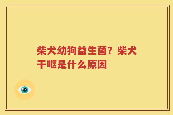 柴犬幼狗益生菌？柴犬干呕是什么原因