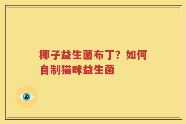 椰子益生菌布丁？如何自制猫咪益生菌
