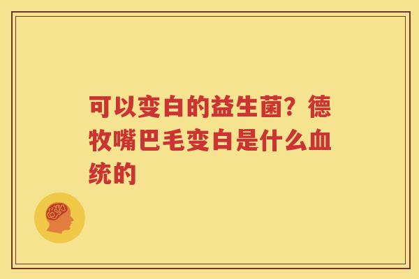 可以变白的益生菌？德牧嘴巴毛变白是什么血统的