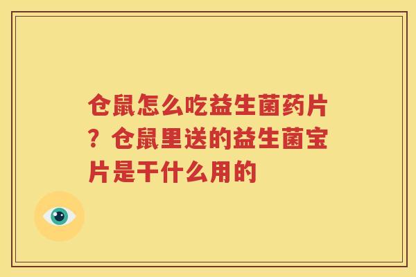 仓鼠怎么吃益生菌药片？仓鼠里送的益生菌宝片是干什么用的
