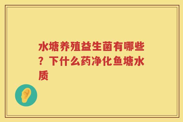 水塘养殖益生菌有哪些？下什么药净化鱼塘水质