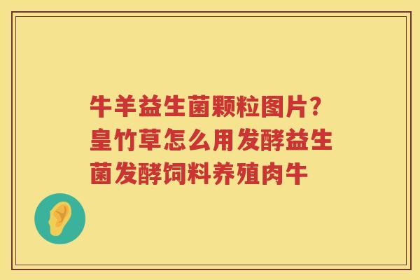 牛羊益生菌颗粒图片？皇竹草怎么用发酵益生菌发酵饲料养殖肉牛