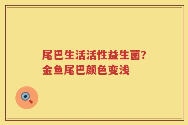 尾巴生活活性益生菌？金鱼尾巴颜色变浅