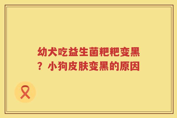 幼犬吃益生菌粑粑变黑？小狗皮肤变黑的原因