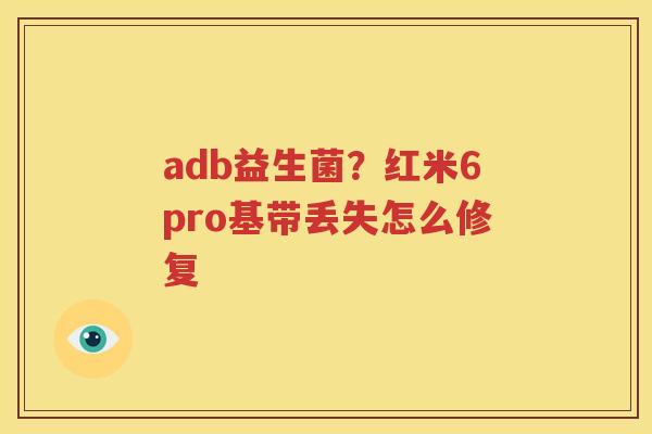 adb益生菌？红米6pro基带丢失怎么修复