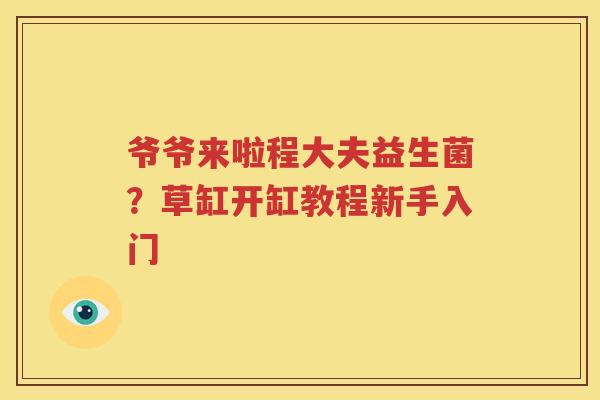 爷爷来啦程大夫益生菌？草缸开缸教程新手入门