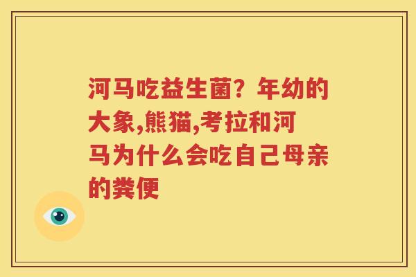河马吃益生菌？年幼的大象,熊猫,考拉和河马为什么会吃自己母亲的粪便
