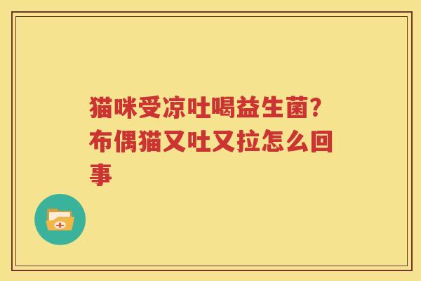 猫咪受凉吐喝益生菌？布偶猫又吐又拉怎么回事