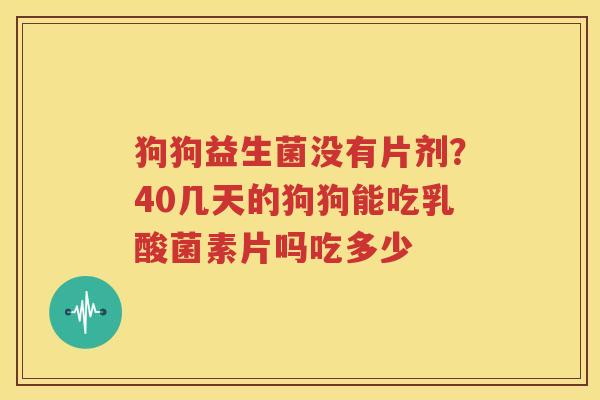 狗狗益生菌没有片剂？40几天的狗狗能吃乳酸菌素片吗吃多少