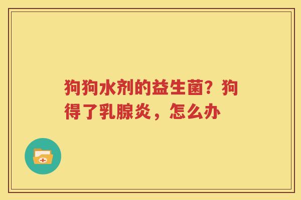 狗狗水剂的益生菌？狗得了乳腺炎，怎么办