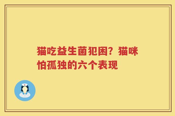 猫吃益生菌犯困？猫咪怕孤独的六个表现