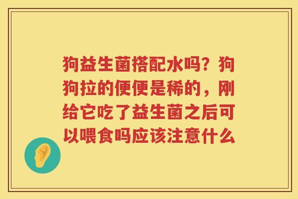 狗益生菌搭配水吗？狗狗拉的便便是稀的，刚给它吃了益生菌之后可以喂食吗应该注意什么