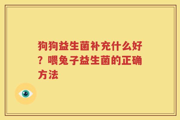 狗狗益生菌补充什么好？喂兔子益生菌的正确方法