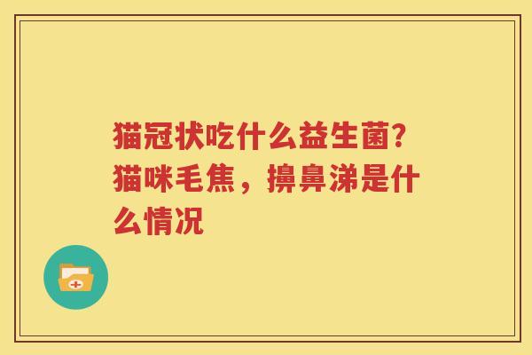 猫冠状吃什么益生菌？猫咪毛焦，擤鼻涕是什么情况